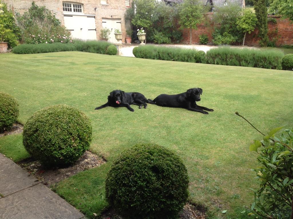 Brunton Farmhouse Hotel Collingbourne Kingston Luaran gambar